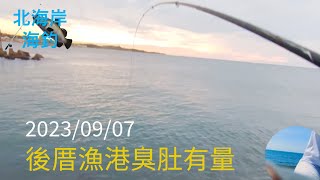 【北海岸海釣】後厝漁港 臭臭第一時間釣況分享(Houcuo Fishing Port of Taiwan’s Northern Coast) 2023/09/07 #阿波釣法 #北部臭肚