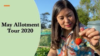 May Allotment Tour 2020