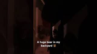 I had a guest 🐻