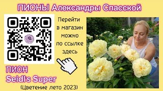 Peony Seidl's Super (Сейдлз супер) / Пионы Александры Спасской