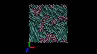 Simulation of Micelle LAMMPS ©