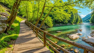 Музыка для расслабления нервной системы 🌿 Забудьте обо всем стрессе и заботах под эти звуки.