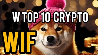 DOGWIFHAT _ WIF _ 100X TOKEN