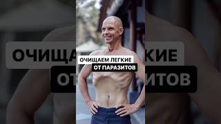 ✅ Очищаем легкие от Паразитов