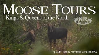 Moose Tours in New Brunswick Canada with Guests from Vermont USA