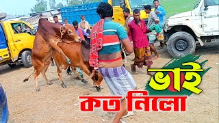 ভাই কত নিলো ২০২৪ || Bhai Koto Nilo || চান্দাইকোনা গরুর হাট ২০২৪ || Qurbani Cow Price in Bangladesh