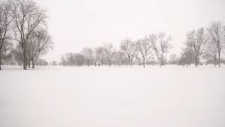 Chicago snow storm stock footage 04142019