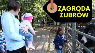 VLOG : Z wizytą w Zagrodzie Żubrów | Pszczyna | 2021