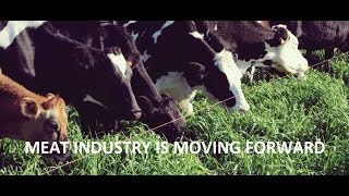 Meat Industry Is Moving Forward