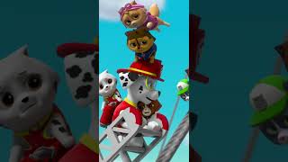 PAW Patrol : La Pat' Patrouille | Marcus sauve les Kitten Catastrophe ! #Shorts