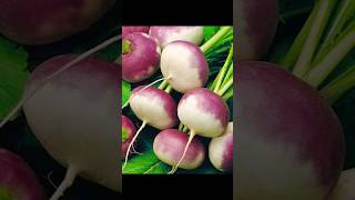 शलगम या शलजम के फायदे #Turnip #healthybenefits #youtubeshorts #ayurvedicnuske