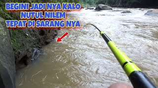 CARA MENCARI TITIK IKAN NILEM ARUS DERAS TEKNIK NUTUL