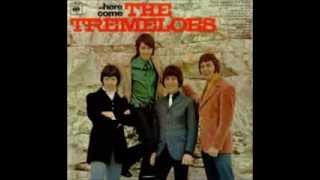 The Tremeloes   Round And Round