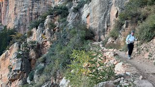 Descending the North Kaibab Trail