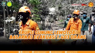 Erupsi Gunung Lewotobi Basarnas Evakuasi 1.403 Orang