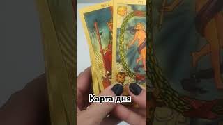 #таро #гадание_онлайн #tarot #гадание #fortune #таролог #магия