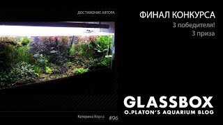 Финал конкурса GLASSBOX и победители + бэкстэйдж :D