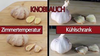 Knoblauch im Kühlschrank lagern? Oder bei Zimmertemperatur? Haltbarkeit von Knoblauch im Zeitraffer