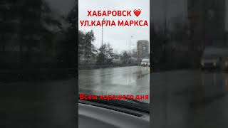 ХАБАРОВСК 28.03.24/СНЕЖОК ❄️/ВСЕМ ХОРОШЕГО ДНЯ🤗/ВСЕХ ОБНЯЛ❤️