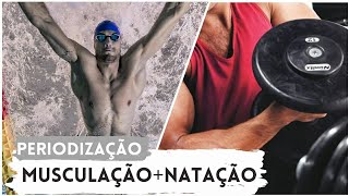 PERIODIZAÇÃO ENTRE MUSCULAÇÃO E NATAÇÃO