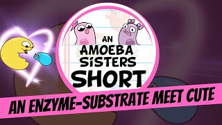 An Enzyme-Substrate Meet Cute - Amoeba Sisters #Shorts