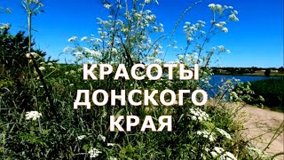 ПАРК "ТОПОЛЬКИ". Каменск-Шахтинский. Лесопарковая зона. Набережная. Июнь 2022. КРАСОТЫ ДОНСКОГО КРАЯ