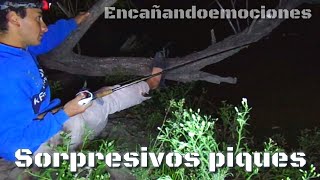 😱No me esperaba estos piques/ caminata/pescado asado a la estaca/ naturaleza modo on 🎬.