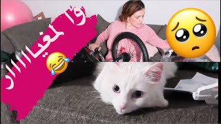 أجيو تشوفو الطوموبيل ديال بنتي😍 أشيل جاتو الغيرة😂😂