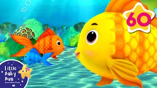 Counting Fish | Nursery Rhymes and Kids Songs | Little Baby Bum | Animal for Kids