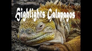 Highlights Galápagos Islands, Ecuador