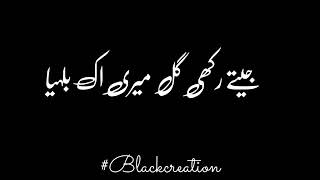 _New_Punjabi__Urdu_Lyrics_Black_Background_Status