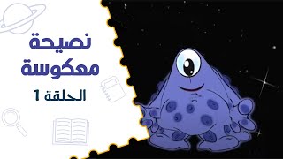 نصيحة معكوسة – صح أم خطأ | الحلقة الأولى