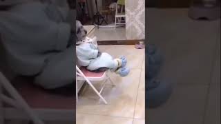 Funny dog thinking#tiktok #viral #status #compilation #status #2021 #whatsaap #funny #dogs #animals