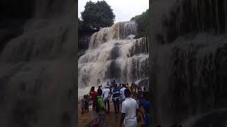 The roaring Kintampo Waterfalls#kintampowaterfalls #kintampo #waterfalls #waterfall #waterfallsounds