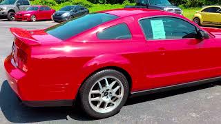 2009 Ford Mustang GT500 startup and walk around