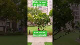 flats for rent in gurgaon. property for rent or sale available in gurgaon. #gurgaon #property