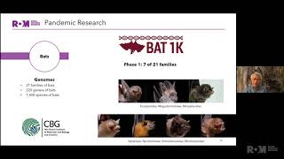 ROM Ideas: Pandemic Research - Burton Lim: Frozen Bat Tissues and Vaccine Development