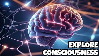 The Human Brain: A Journey into Consciousness