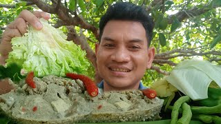 Steamed Cheese and Pork Eating with Fresh Vegetables | Prahok Chom Houy