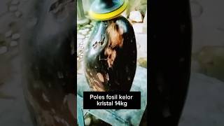 hasil Poles fosil kelor kristal 14kg #shortvideo #hasil #batuakik #batufossil #fosilkelor #gemstone