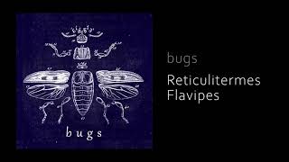 bugs EP - Reticulitermes Flavipes