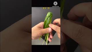 grass hand craft || #craft #shortsfeed #viral