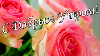 С ДОБРЫМ УТРОМ 20 Ноября!🌼Желаю Самого Доброго Солнечного Утра!🌼  Шикарная Музыкальная открытка 🌼