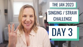 S/S Challenge Day 3 - January 2023