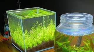 Water change and chill - Ask me anything