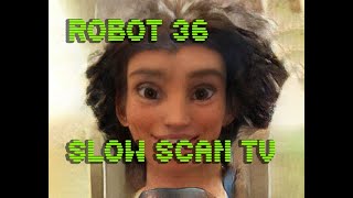 0071 Toonify SSTV Robot36