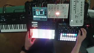 Live DAWless Set - Minilogue XD, Polyend Play, Hologram Microcosm, Bass Bot TT-303, Circuit Tracks