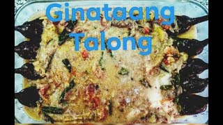 GINATAANG TALONG |  EGSOONG BISDAK | LUTONG PAMBAHAY | QUARANTINE EDITION