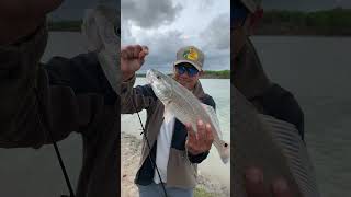 Fishing Redfish catchandrelease #shortfishing #shorts #shortvideo #outdoors #southtexas #fishing