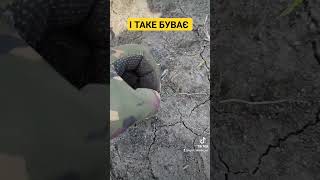 ВЕРХОВА #minelab #metaldetecting #пошук_з_металошукачем #metaldetector #рекомендации #shorts